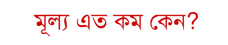 Why-Price-is-So-Little